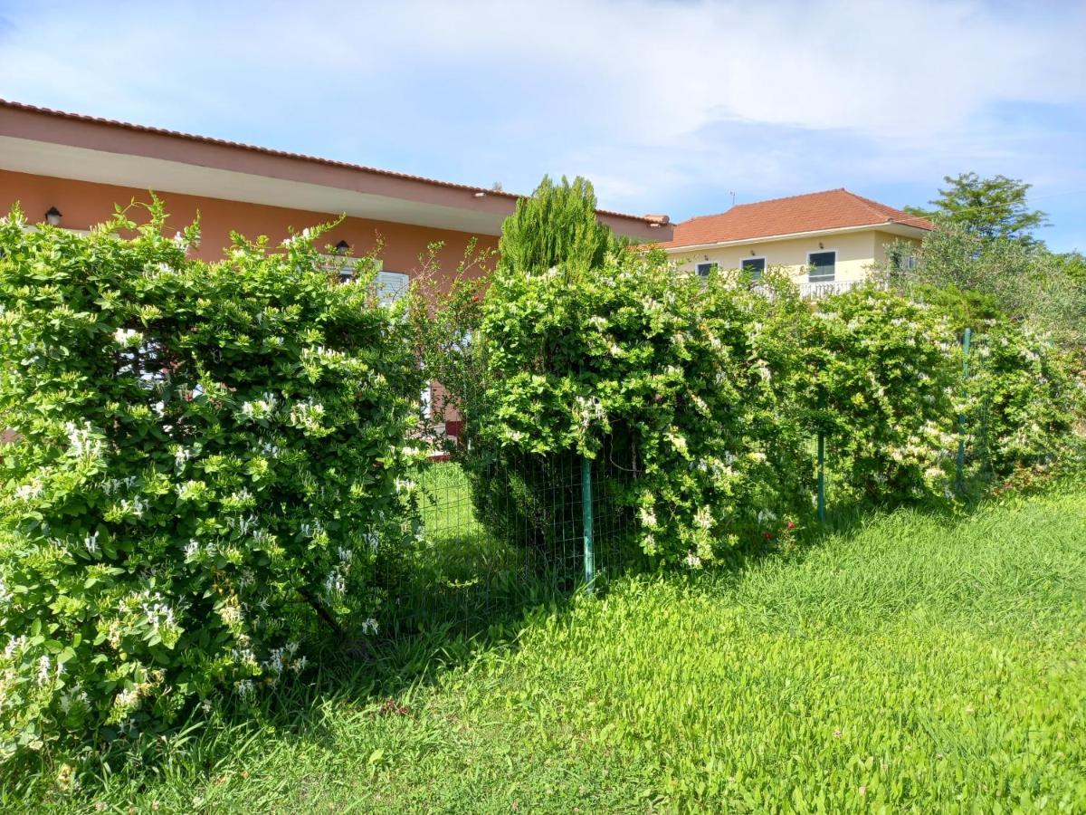 Kostas Apartments Sidárion 외부 사진